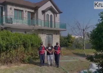 Zbulohen sera të tjera kanabisi në Krujë/ Arrestohet kultivuesi që vidhte energjinë