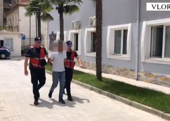 Operacioni i përbashkët në 7 shtete/ Arrestohen për vjedhjen edhe shqiptarë
