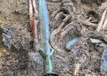 I përket shekullit të 14-të/ Zbulim i rrallë në Gjermani gjendet shpata 3 mijë vjeçare