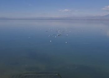 Ndotja e Liqenit të Shkodrës, ekspertët: Probleme kryesore, shfaqja e metaleve dhe pesticideve të ndaluara nga BE