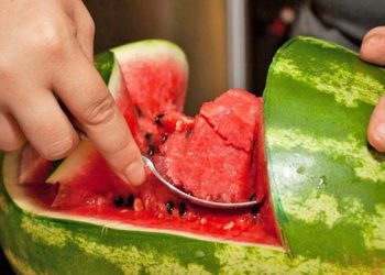 Ja se si shalqini po ju dëmton organizmin pas çdo konsumimi