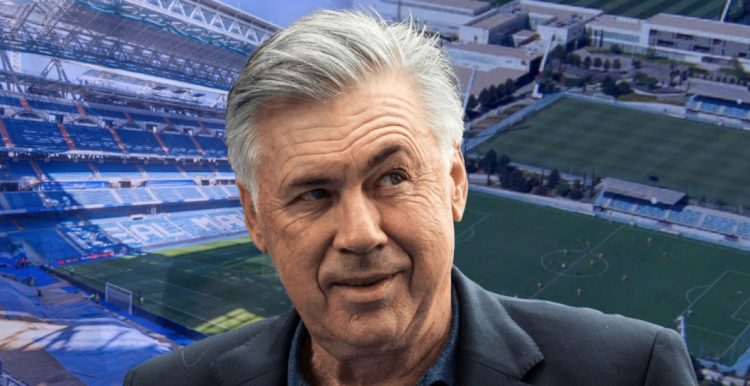 Ancelotti u mahnit nga përformanca e blerjes së re: Kjo është çmenduri!