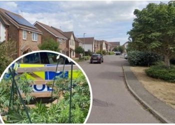 Punonte në ‘shtëpi bari’, arrestohet shqiptari në Angli (Emri)