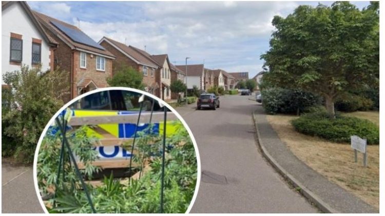 Punonte në ‘shtëpi bari’, arrestohet shqiptari në Angli (Emri)