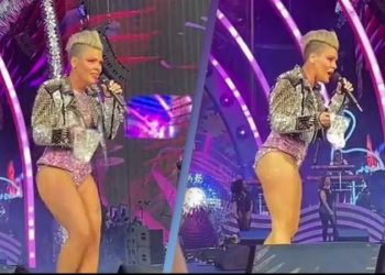 Fansja i hodhi në skenë hirin e nënës së vdekur, shokohet Pink