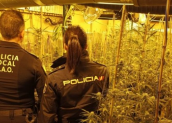 Shkatërrohet banda shqiptare e drogës, arrestohen 3 persona