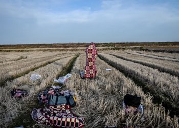 Greqia kërkon ndihmën e Turqisë për migrantët