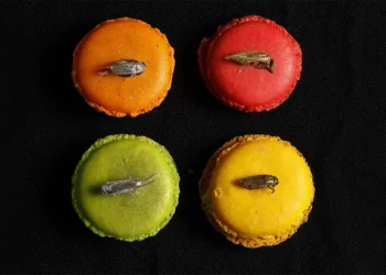 Ja insektet që janë aprovuar si ushqim i ri