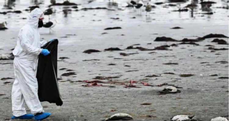 Fenomeni misterioz edhe i frikshëm alarmon Kilin, autoritetet nisin hetimet