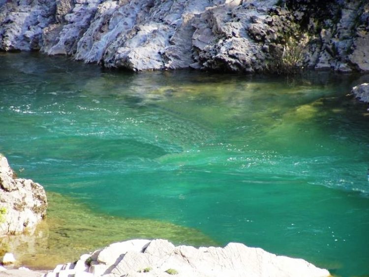 Zhduket 46-vjeçari në lumin Shkumbin, polumbarët nisin kërkimet. Ja dyshimet