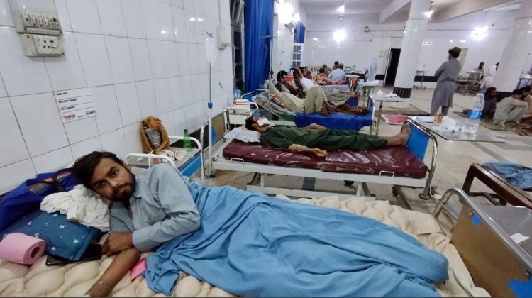 Moti i keq shkakton 27 viktima, ja sa janë të plagosurit