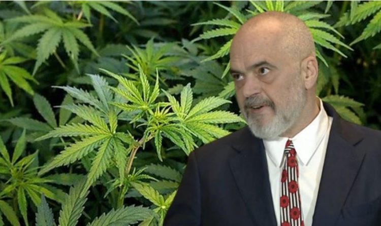 Nga kanabisi tek Porti i Durrësit dhe video e Safetit si kamuflim