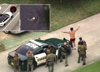 Bilanc lufte, 20 mijë vrasje nga armët në SHBA