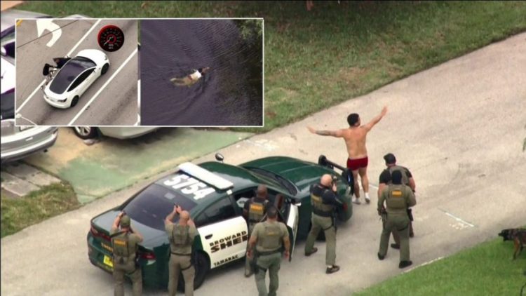 Bilanc lufte, 20 mijë vrasje nga armët në SHBA