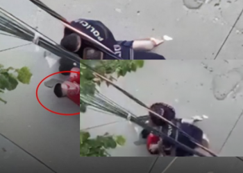 VIDEO/ “Të q* robt, ku*vë”, policia terrorizon qytetarin në mes të rrugës
