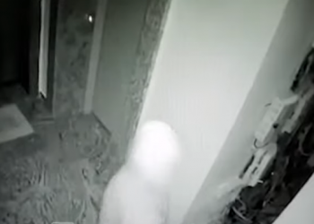 VIDEO/ Gruaja terrorizon pallatin, del natën me çekiç dhe …