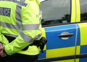 Emri/ Kultivonte kanabis në dhomën e gjumit, arrestohet 18-vjeçari shqiptar