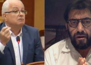 “I pjerdhur nga trutë, uturak, mos e pshurr”, degjeneron debati në rrjet mes Spahos e Demalisë