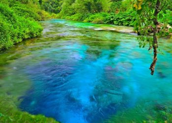 Uji i Tepelenës dhe Syrit të Kaltër drejt Pulias, Sazan Guri: Mallkuar qofshin ata…