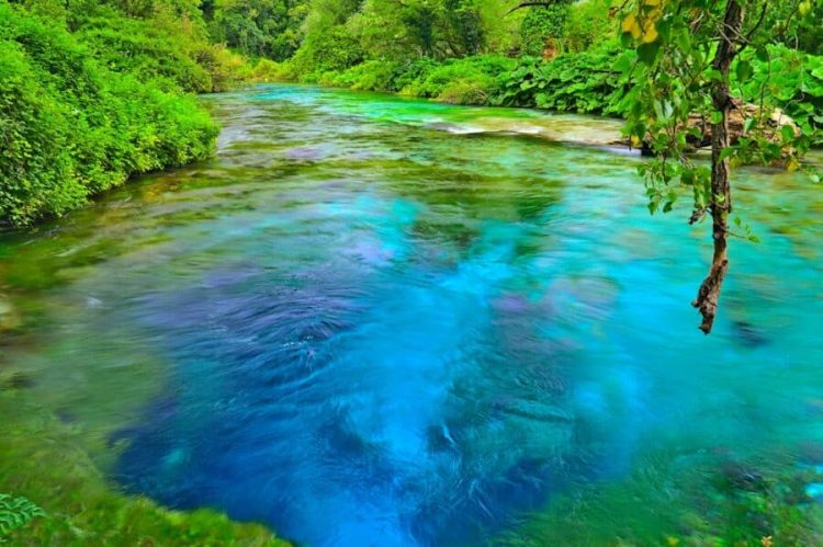 Uji i Tepelenës dhe Syrit të Kaltër drejt Pulias, Sazan Guri: Mallkuar qofshin ata…