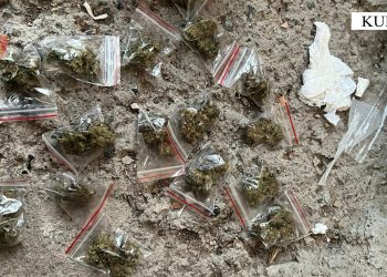 Kishin përshtatur lokalin për shitje narkotikësh, arrestohet pronari dhe kamarieri/ Emrat