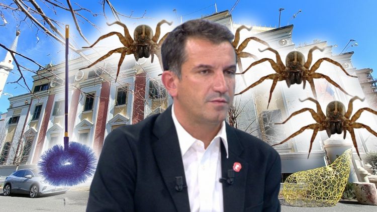 Do të blejë fshesë për merimanga dhe kaci, Lali Eri harxhon pa garë 400 MLN lekë