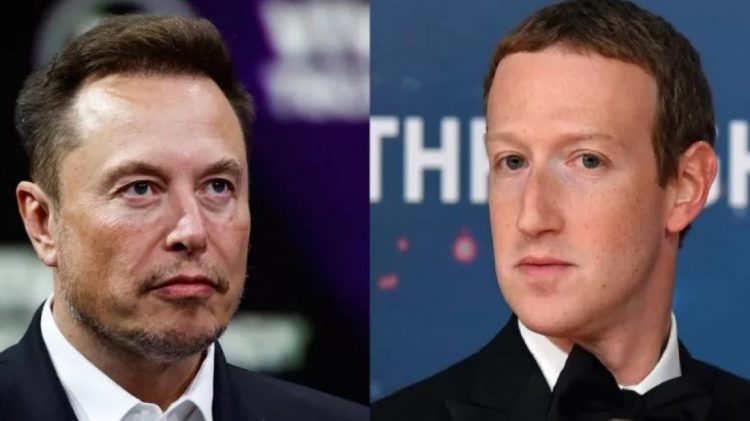 “Më dërgo vendndodhjen”, Zuckerberg pranon sfidën e Musk për t’u përballur në ring