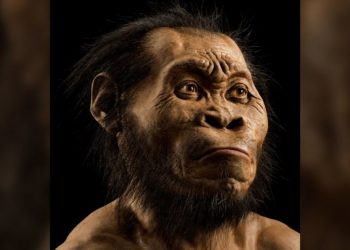 Të shkurtër por jashtëzakonisht të fortë, ja kush kanë qenë “Homo naledi-t”
