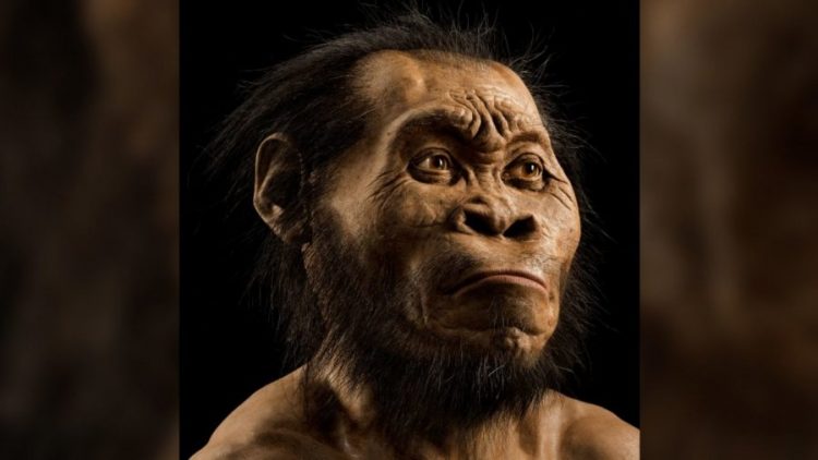 Të shkurtër por jashtëzakonisht të fortë, ja kush kanë qenë “Homo naledi-t”