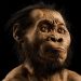 Të shkurtër por jashtëzakonisht të fortë, ja kush kanë qenë “Homo naledi-t”