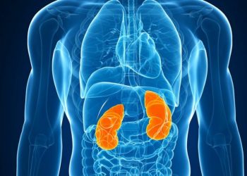 Gurët në veshka shkaktojnë probleme në zemër? Ja e vërteta