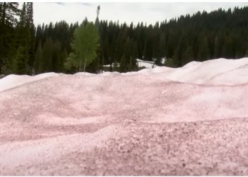 Bora që ka rënë në këtë vend mori ngjyrë rozë