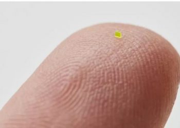 Çanta më e vogël se kokrra e kripës shitet për 63 750 USD