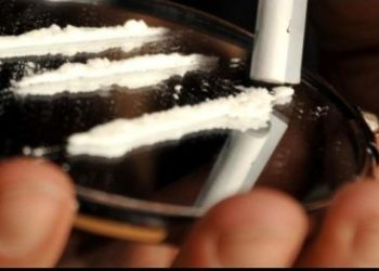 Zvicra po konsideron “kokainën shtetërore” për narkomanët