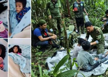 Mrekullia në Kolumbi/ Dalin fotot e para nga spitali i fëmijëve të shpëtuar në xhungël. Vizatimet e tyre janë prekëse