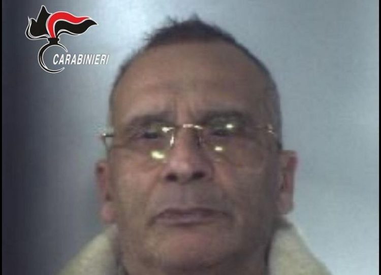 Ana e errët e Denaros, kërkoi të vrasë vjehrrën