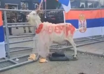 Serbët dalin në protestë me një dhi, cila është simbolika e saj?!