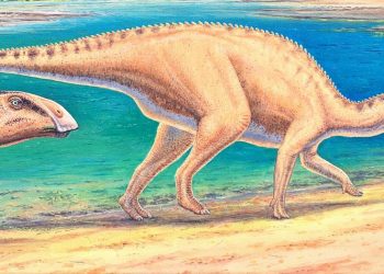 Kili, gjenden mbetje të reja të dinosaurëve