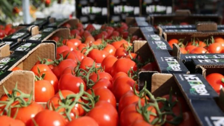 Domatet nga Shqipëria me hormone, Kosova në pritje të rezultateve