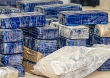 Sekuestrohen 745 kg kokainë në portin e Kroacisë