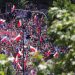 Rreth 500 mijë persona protestë kundër qeverisë në Poloni, thirrje për zgjedhje të lira