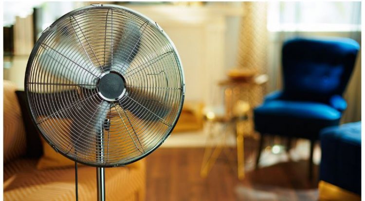 A e dinit? Freskuesja shkakton dëme në shëndet, ja cilat janë