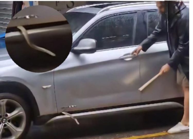 Shokohet qytetari në Tiranë, gjarpri dy metra brenda në makinë (VIDEO)
