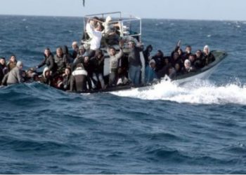 Emigrantët/ Greqia kërkon ndihmë nga Europol