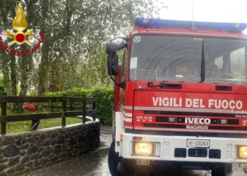 Shqiptari bie nga shtylla 50 metra e lartë, ndërron jetë në vend