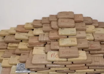 Sërish drogë nga Ekuadori në Selanik, 160 kg kokainë nga i njëjti kartel kapet në port