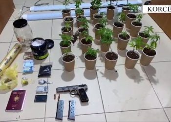 VIDEO/ Armë dhe drogë në banesë, arrestohen dy persona në Korçë