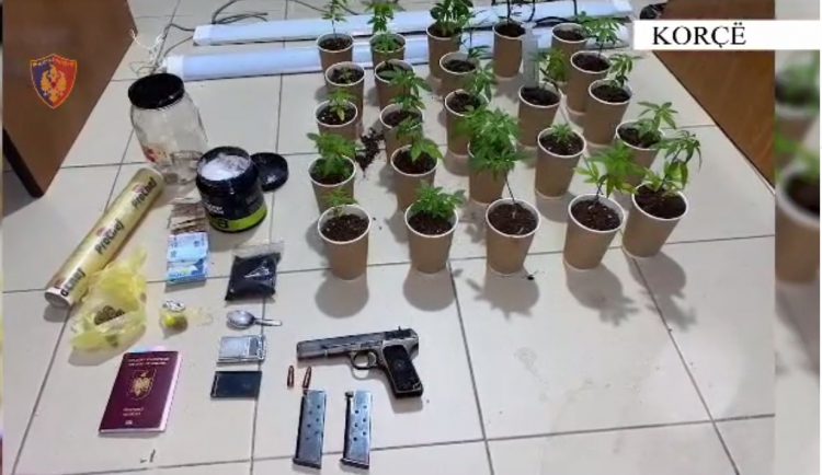 VIDEO/ Armë dhe drogë në banesë, arrestohen dy persona në Korçë