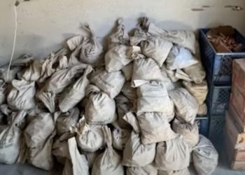 Fillon ta pastrojë shtëpinë, amerikani gjen një milion qindarka