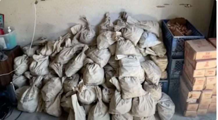 Fillon ta pastrojë shtëpinë, amerikani gjen një milion qindarka